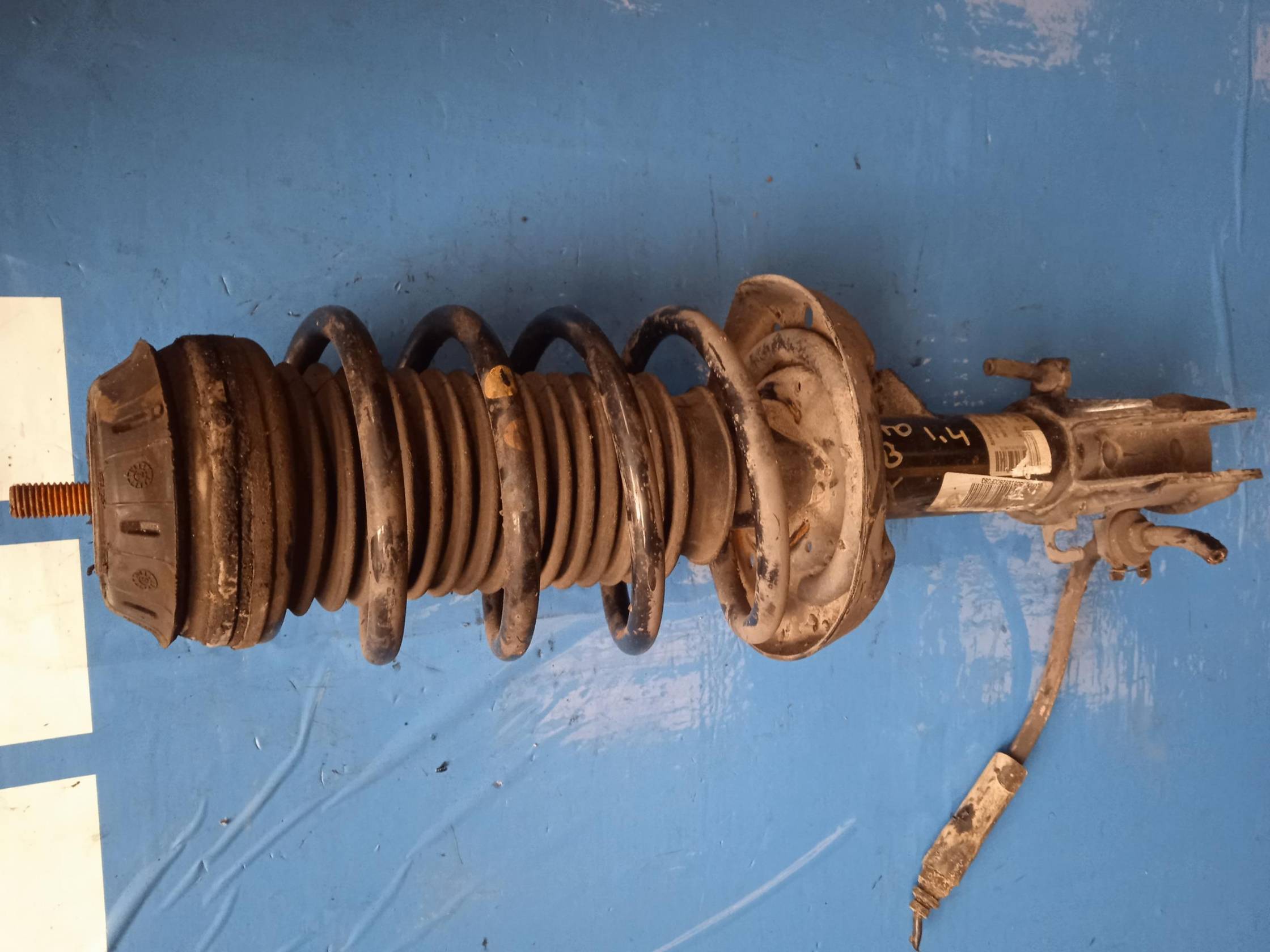 Ammortizzatore ant. sx.